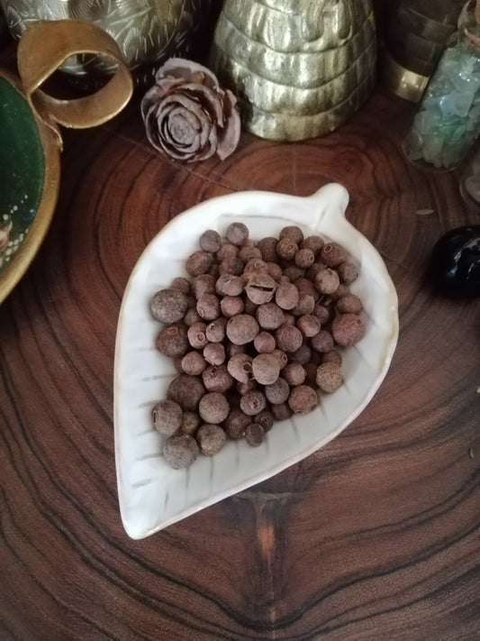 Allspice